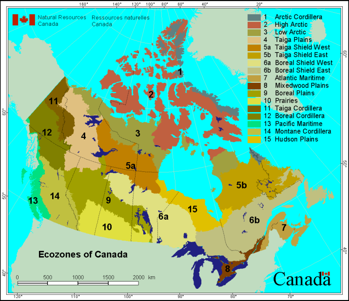 Canada Ecozones Map