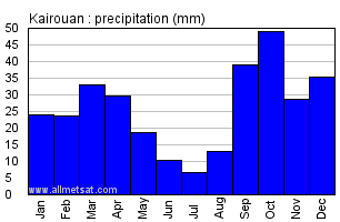 Kairouan, Tunisia, Africa Annual Yearly Monthly Rainfall Graph
