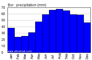 Bor Russia Annual Precipitation Graph