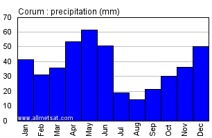 Corum Turkey Annual Precipitation Graph