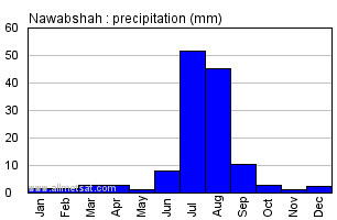 Nawabshah Pakistan Annual Yearly Monthly Rainfall Graph